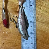 طعمه مصنوعی ژلهای|ماهیگیری|اردبیل, |دیوار