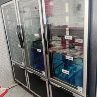 یخچال ایستاده 3 درب داخل استیل موتور امبراکو