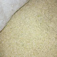 خوردهبرنجچمپای|خوردنی و آشامیدنی|کوه چنار, |دیوار