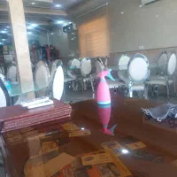پیک موتوری ونیرو خانم