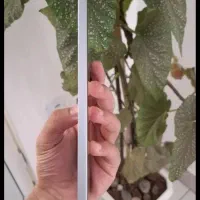 ipad mini7|تبلت|مشهد, اروند|دیوار