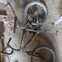 دو عدد دوچرخه