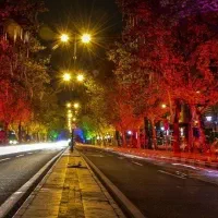 115 متر *بر اصلی*میرداماد(امکانات کامل و قدرالسهم)