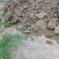 کود حیوانی گوسفندی