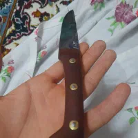 چاقو نو|ظروف پختوپز|قم, ولیعصر|دیوار