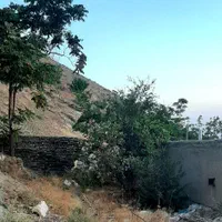 ۷۵ زمین در محله سیاهکلان|فروش زمین و ملک کلنگی|کرج, محمود آباد|دیوار