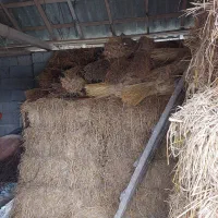 کاه و علوفه