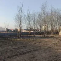 دیوارکشی|خدمات پیشه و مهارت|شفت, |دیوار