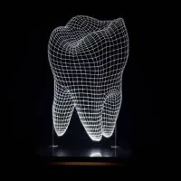 انواع چراغ خواب و اباژور رومیز شارژی برقی مسافرتی|چراغ خواب و آباژور|شیراز, پودنک|دیوار