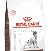 غذای سگ رویال کنین Royal Canin و تشویقی ونپی Wanpy