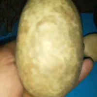 سه قطعه سنگ قدیمی بامهر بشرط اصالت|کلکسیون اشیاء عتیقه|تهران, پاسداران|دیوار