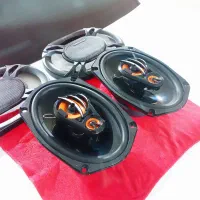 باند حرفه ای کدنس .نوع نوع .هیولای واقعی