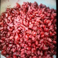 زرشک پفکی و زیر تالاری موجود است