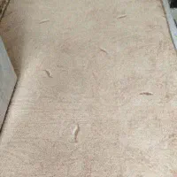 لاکش پالاز درحد نو