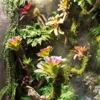 طراحی و اجرای آبنمای جنگل|گل و گیاه طبیعی|لواسان, |دیوار