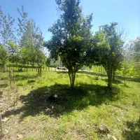 فروش زمین ۱۹۰ متری/کیشپشت/اطاقور+مسکونی|فروش زمین و ملک کلنگی|اطاقور, |دیوار