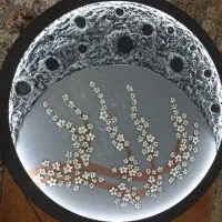 تابلو ماه و شکوفه|تابلو، نقاشی، عکس|میانه, |دیوار