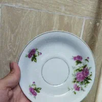 ظرف چینی|ظروف سرو و پذیرایی|اردکان, |دیوار