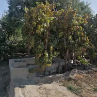 باغ|فروش دفتر صنعتی، کشاورزی، تجاری|ارومیه, |دیوار