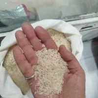 برنج طارم هاشمی و محلی|خوردنی و آشامیدنی|مشهد, سید رضی|دیوار