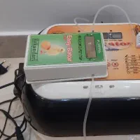 جوجه کشی|لوازم جانبی حیوانات|کرج, شهرک ولیعصر|دیوار