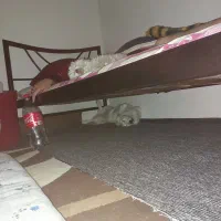 تخت فرفوژه