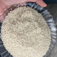 برنج نیم دانه وسرلاشه هاشمی اعلا وصدری هاشمی