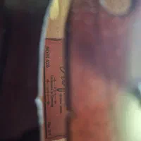 ویولن|ویولن|کرمان, |دیوار