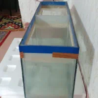 اکواریوم یک متری تر تمیز|ماهی|گرگان, |دیوار