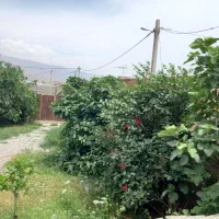 اجاره روزانه/هفتگی/ماهانه آپارتمان ۱۳۰ متری|اجارهٔ کوتاه‌مدت آپارتمان و سوئیت|دره شهر, |دیوار