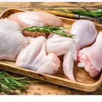 وارد به مرغ و ماهی|استخدام خدمات فروشگاه و رستوران|اندیشه, شهرک صدف|دیوار