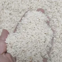 برنج ارگانیک لایین