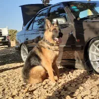 ژرمن