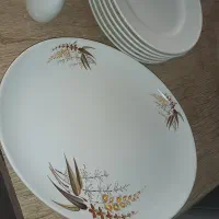 ست ظروف چینی غذا خوری