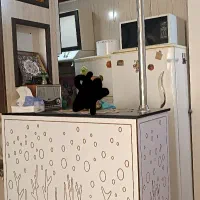 کابینت و گاز و هود دست دوم