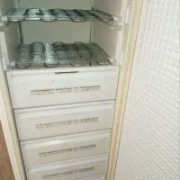 یخچال تمام فریزر پارس