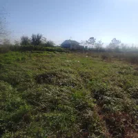 دو قطعه۲۵۰متری داخل طرح دهستان چهارده لولمان رشت|فروش زمین و ملک کلنگی|آستانه اشرفیه, |دیوار