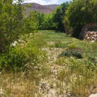 زمین-بخش-خضرآباد-روستای-دربرز