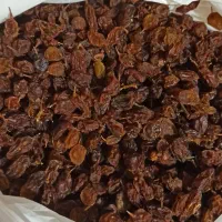 کشمش|خوردنی و آشامیدنی|کامیاران, |دیوار