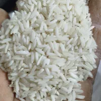 برنج کشت|خوردنی و آشامیدنی|سنندج, |دیوار