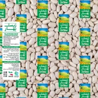 بازاریاب  حرفه ایی