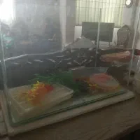 اکواریوم 70*50*35