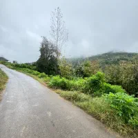 250 متر مسکونی ویوجنگلی، کاسبی|فروش زمین و ملک کلنگی|املش, |دیوار