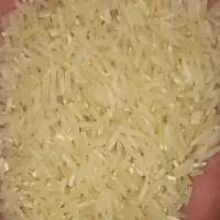 برنج طارم یک یک