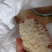 برنج طارم هاشمی