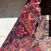 یک تخته فرش دست بافت|فرش|شیراز, ترمینال باربری|دیوار