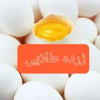 پخش تخم مرغ زرده طلایی مستقیم از مرغداری