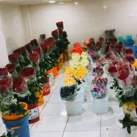 پخش عمده گل رز هلندی ارسال به سراسر کشور|گل و گیاه طبیعی|شیراز, جوادیه|دیوار