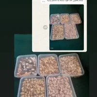 پک اقتصادی اجیل شب یلدا|خوردنی و آشامیدنی|مه ولات, |دیوار