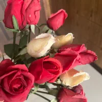 گل رز مصنوعی|گل مصنوعی|شهرکرد, |دیوار